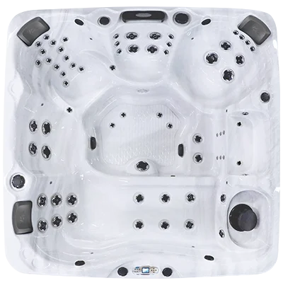 Avalon EC-867L hot tubs for sale in Rehoboth