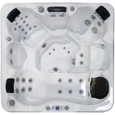 Avalon EC-849L hot tubs for sale in Rehoboth